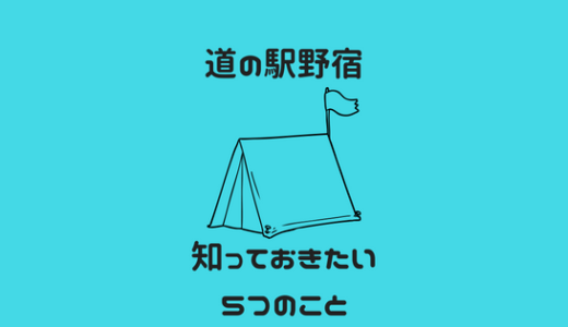 道の駅野宿 ポイント